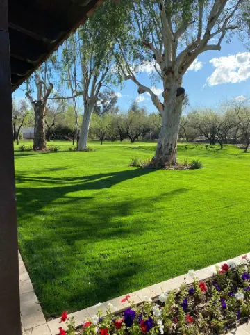 3- Acre Privately Gated Ranch Heated Pool, Outdoor Living