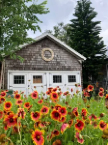 Relaxing Ocean View Getaway: Sea Winds Beach Condo.