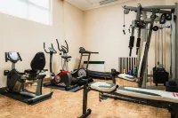 Hotel Royal Torino Centro Congressi - gimnasio