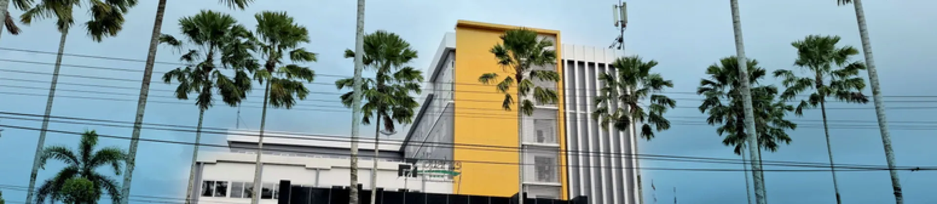 Four-Star Hotels