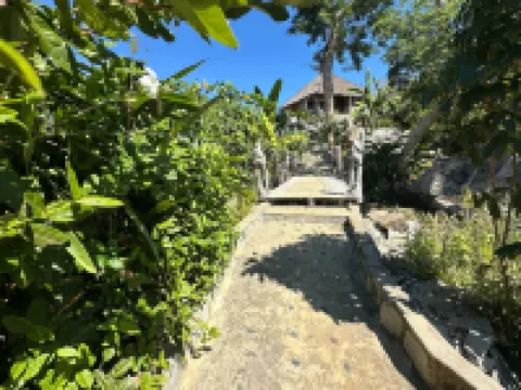Coconut Lodge
