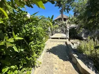 Coconut Lodge