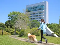 Nanki Shirahama Wan Wan Paradise Hotel Hotels in Kamitonda