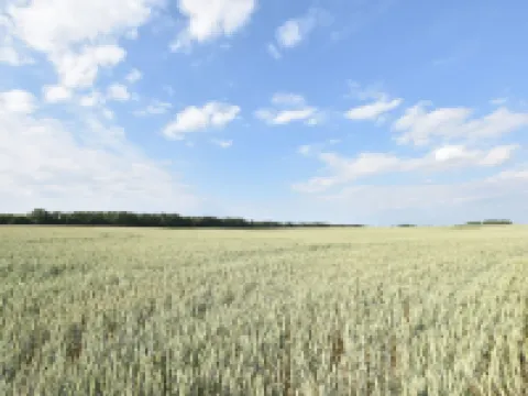 Sonnige Ferienwohnung am Wald Büdnerreihe