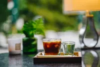 Hotel Ski - bar