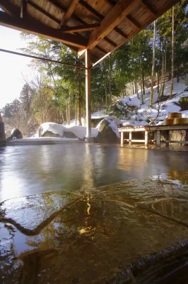 Sakaeya - Hot Springs