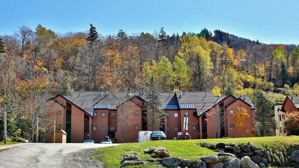 The Pico Escape- 3BR 2BA Ski On Ski Off at Pico Mountain, Close to Killington, condo