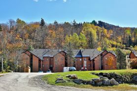 The Pico Escape- 3BR 2BA Ski On Ski Off at Pico Mountain, Close to Killington, condo