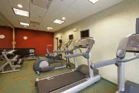 SpringHill Suites Chicago Naperville/Warrenville - Gym
