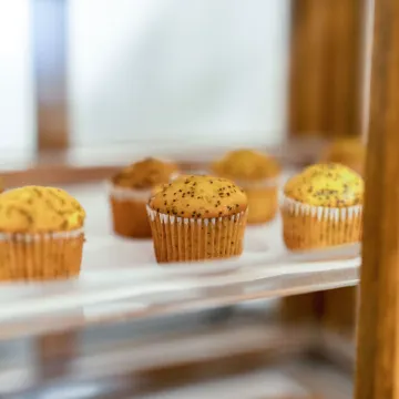 The Millwood - A Boutique Hotel