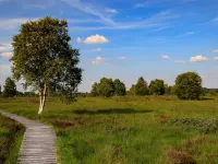 Renovated Farmhouse Quiet Location with Garden, Terrace, Ideal for Walks & Cycling