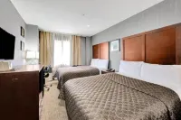 페르골라 JFK 공항 호텔 케네디 국제공항 호텔