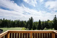 Pohorje Village Wellbeing Resort - Forest Hotel Videc - pemandangan pegunungan