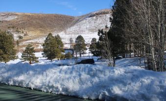 Edelweiss Resort and Restaurant