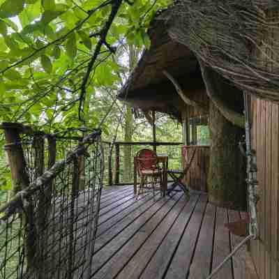L'Arbre à Cabane Hotel Exterior
