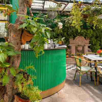 墨西哥城蘭花之家 Hotel Exterior