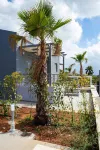 Electra Villas at Kokkino Chorio - Villas