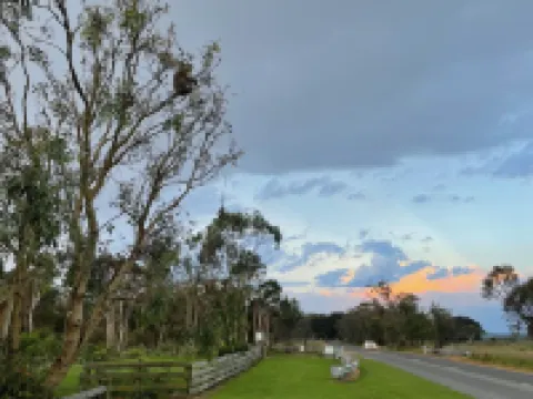 Tindoona Cottages Hotels in Foster