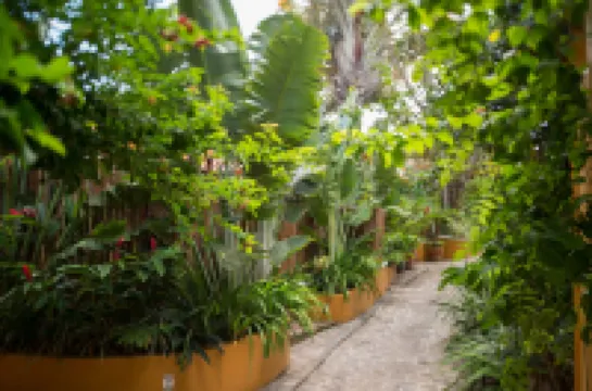 Vila Deste Hotel Hotels in 