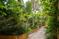 Vila Deste Hotel