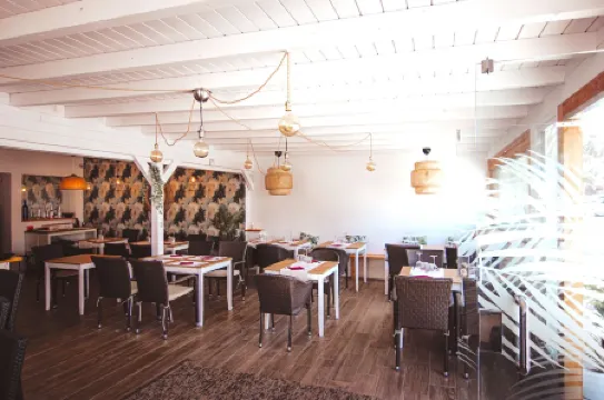 Apartamentos Punta Elena Beach