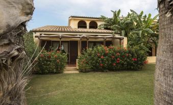 Tranquil Lantana Resort Hotel & Apartments 1 Bedroom Room Apartment Sleeps 5