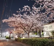 Guesthouse Ivy Hotels in Higashiosaka