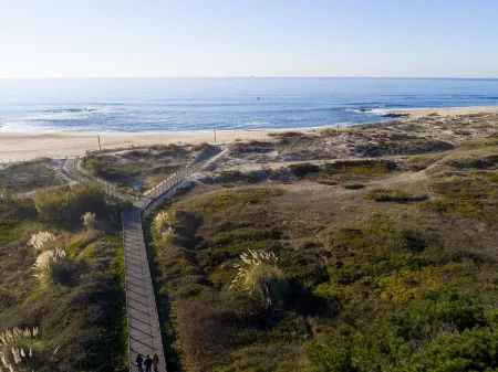 Madalena Beach Apartment by MP Отели рядом с достопримечательностью «Sandeman»