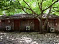 Olympos Camlık Pension Hotels near Chimera
