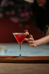 The Regalia Resort - bar