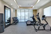 Home2 Suites by Hilton McKinney - Træningscentre