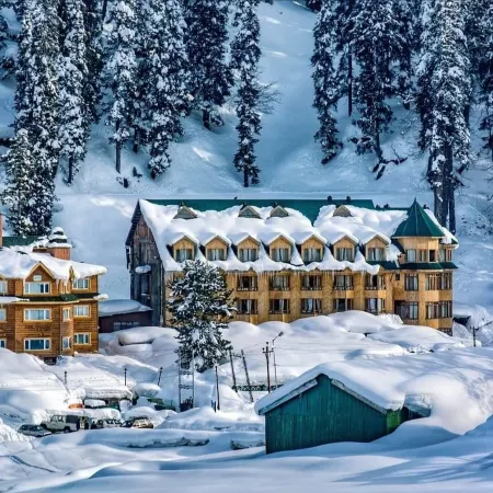 Hotel Hilltop Отели в г. Baramulla
