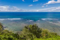 Pili Aloha