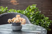 The Banq Apartments by Urban Rest