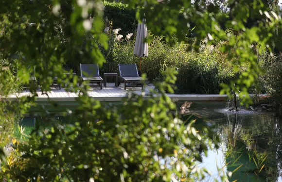 奧利昂樹屋酒店