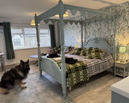 Traeth Rooms Hotels in Cardigan