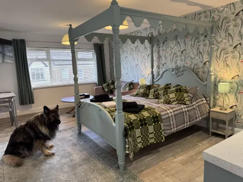 Traeth Rooms Hotels in Cardigan