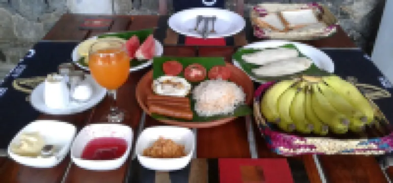 The Nature Villa and Cabanas