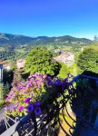 Villa Alma B&B Lake Como Hotels in Valsolda