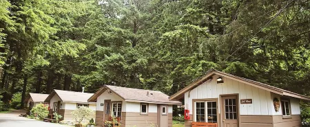 3 Rivers Resort and Guide Service Отели в г. Ла Пуш