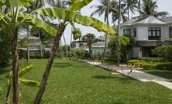 Lotus Samui Luxury Beach Villas