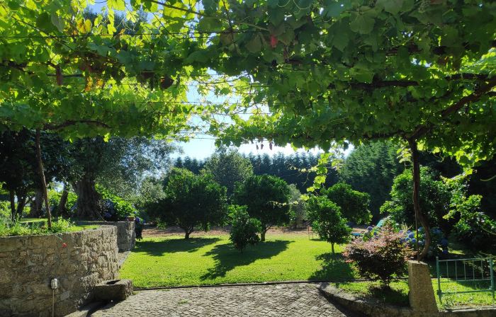 Casas da Quinta da Cancela