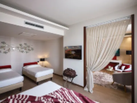 貝加莫機場冬季花園飯店 住宿飯店