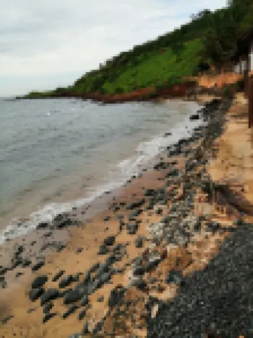 호텔 자딘 사바나 다카르