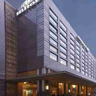 金奈希爾頓飯店 Hotel Exterior