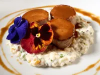 Hôtel Roissy Hotels in Lourdes