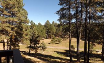 Arizona Mountain Inn and Cabins