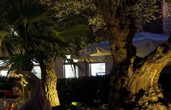 扎拉客房及套房住宿加早餐旅館