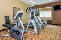 Microtel Inn & Suites by Wyndham Pearl River/Slidell - palestra