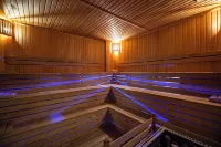 西耶拉帕克温泉水療酒店 - SPA